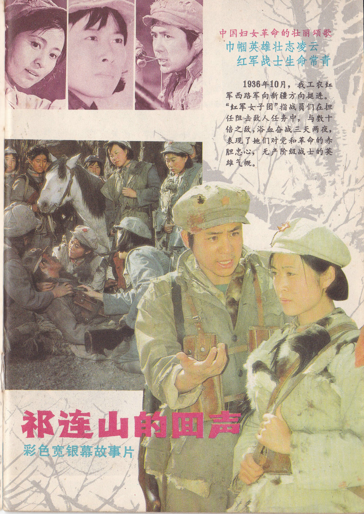 祁连山的回声 filmaffisch