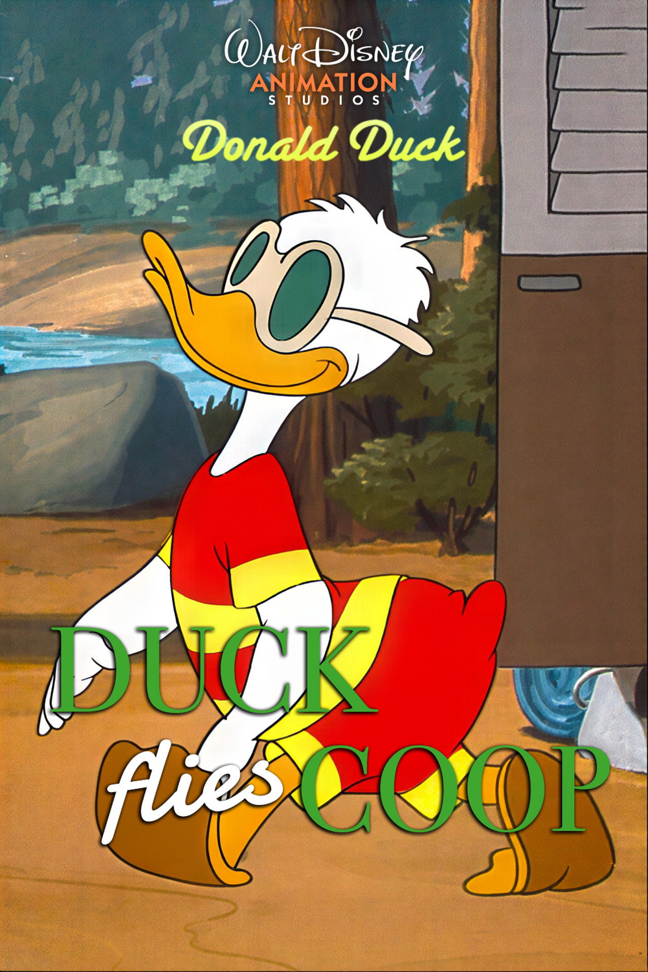 Duck Flies Coop