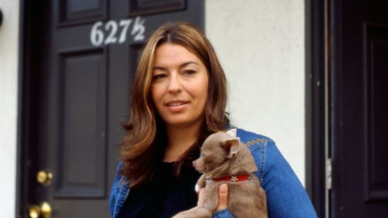 O Encantador de Cães backdrop