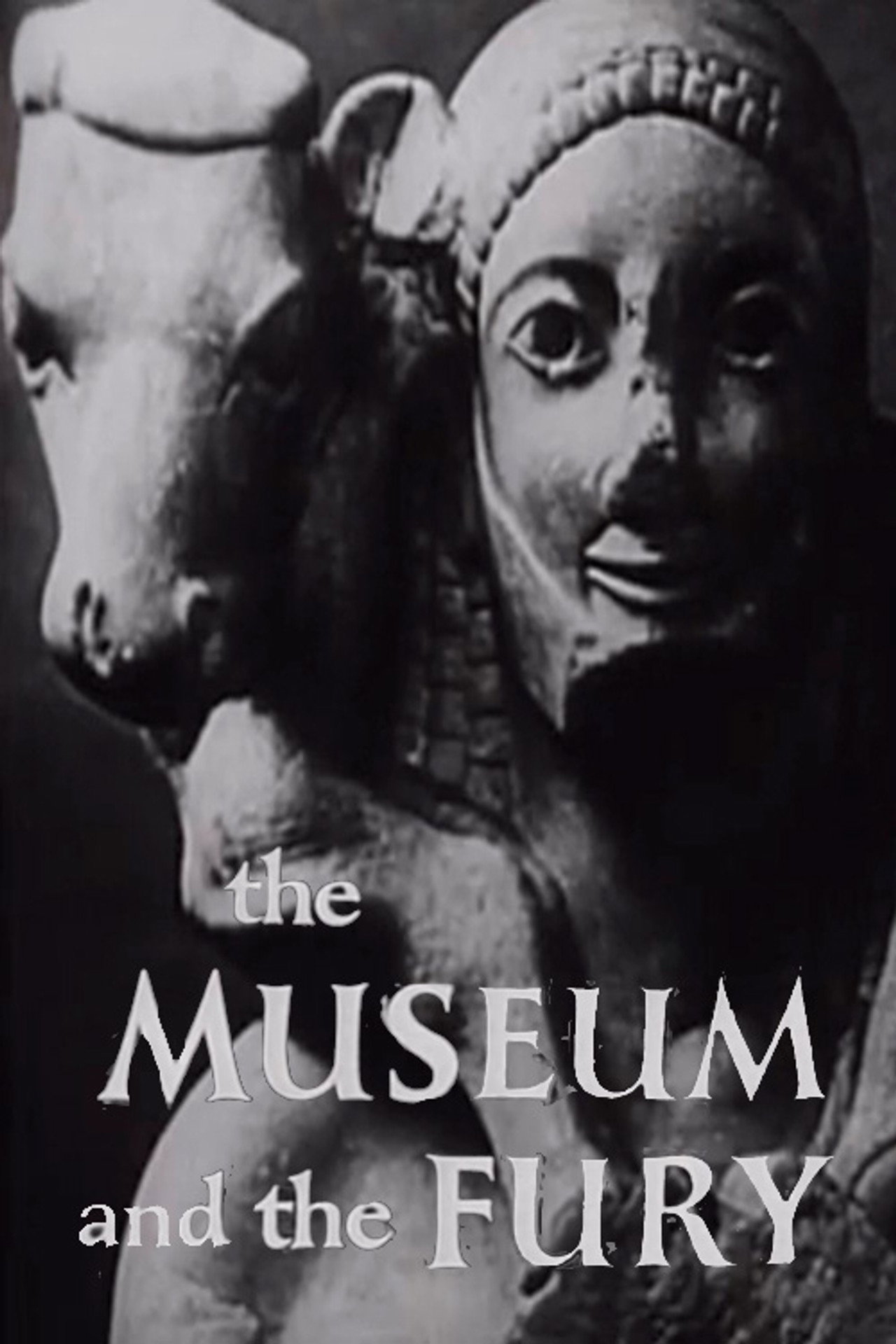 The Museum and the Fury filmaffisch