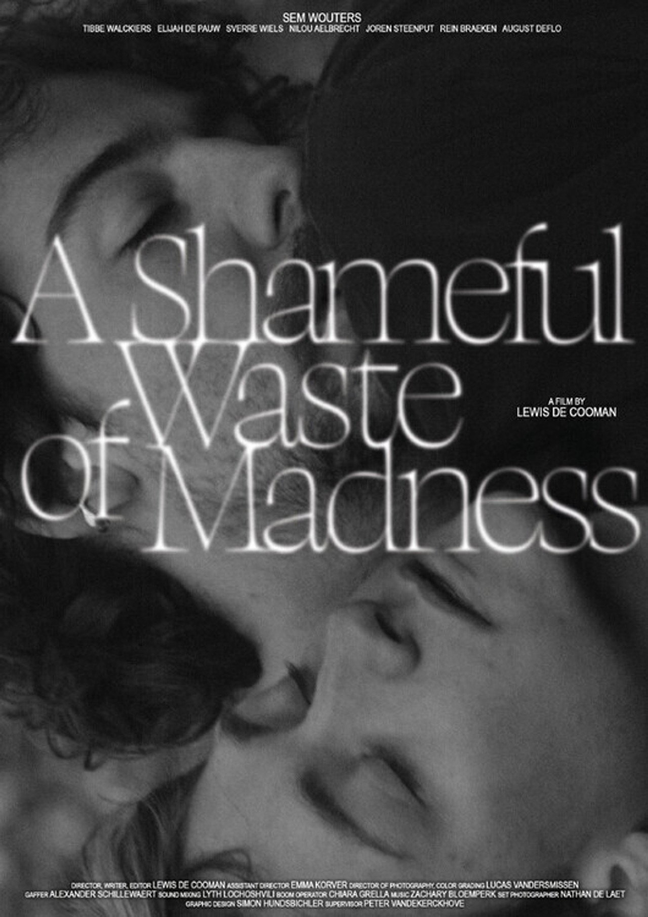 A Shameful Waste of Madness filmaffisch