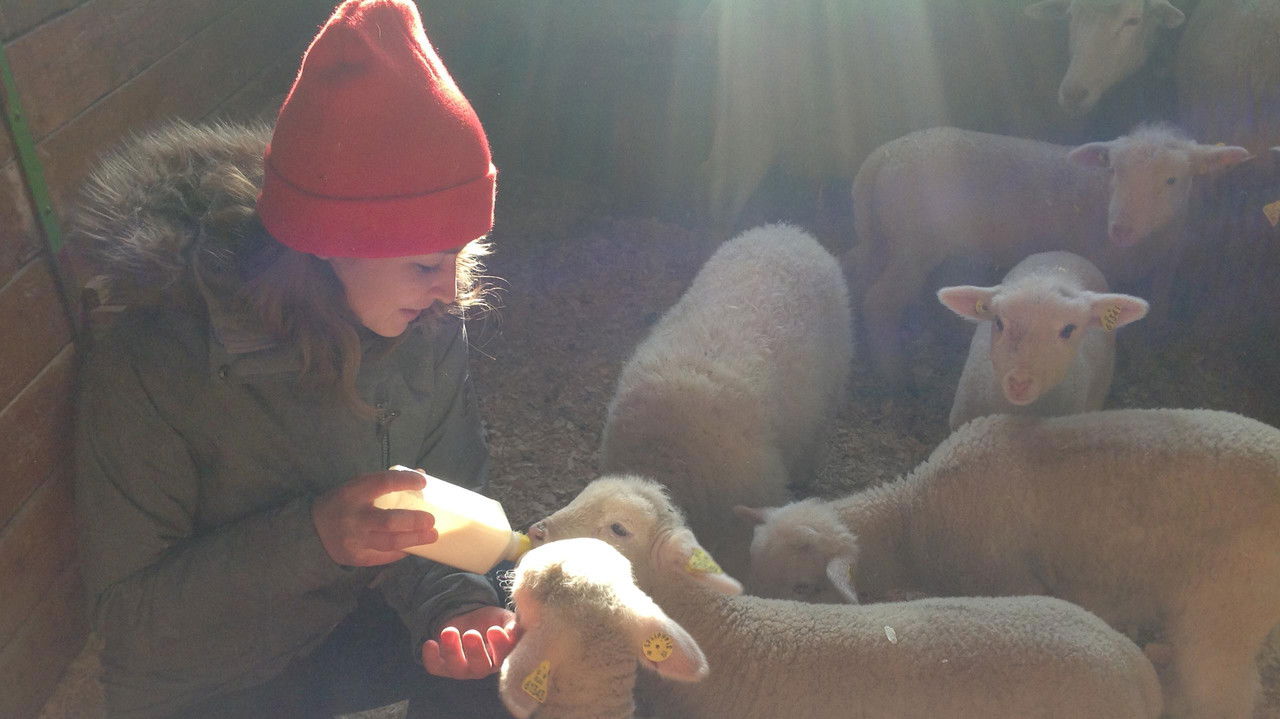 Un chef à la cabane — Épisode 8