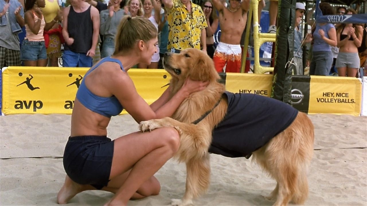 Scen från Air Bud - Slår tillbaka