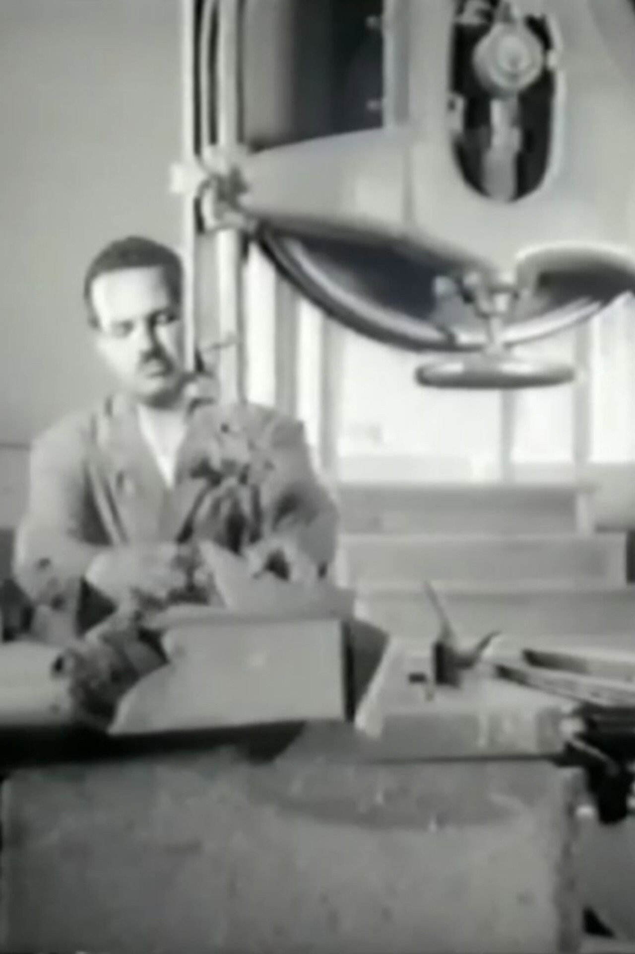 منبت filmaffisch
