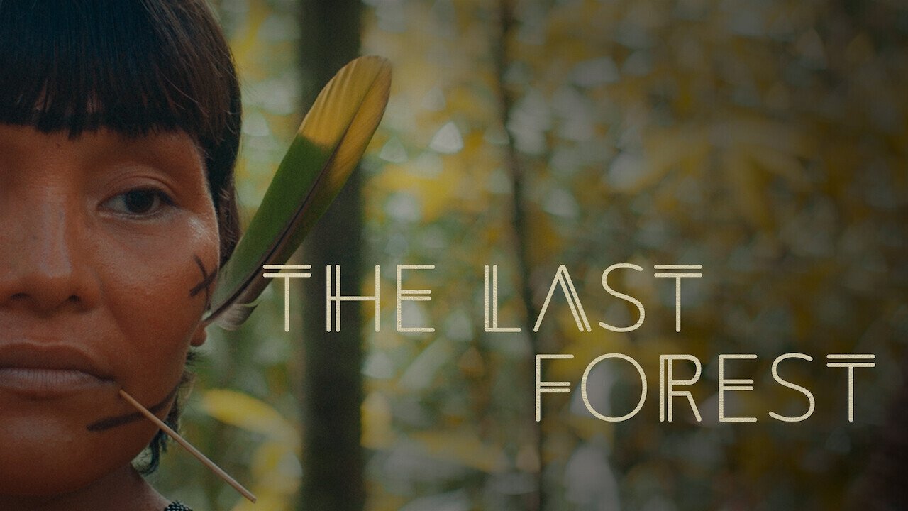 The Last Forest background