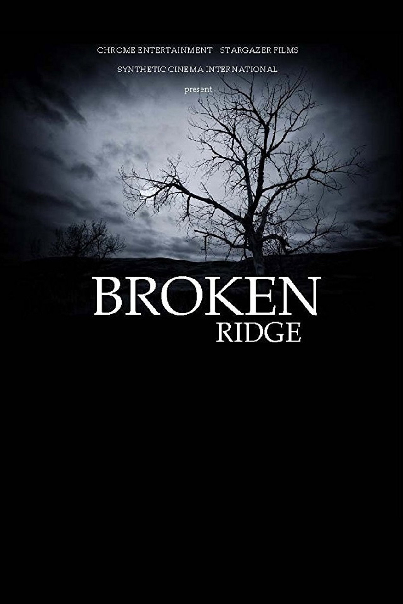 Broken Ridge filmaffisch