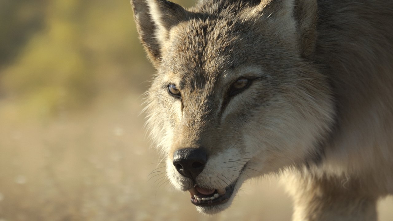 Prehistoric Planet - Season 3 Episode 5 : The Big Melt