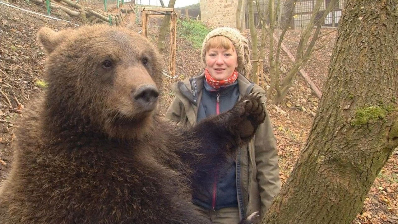 Paula und die wilden Tiere — Épisode 48