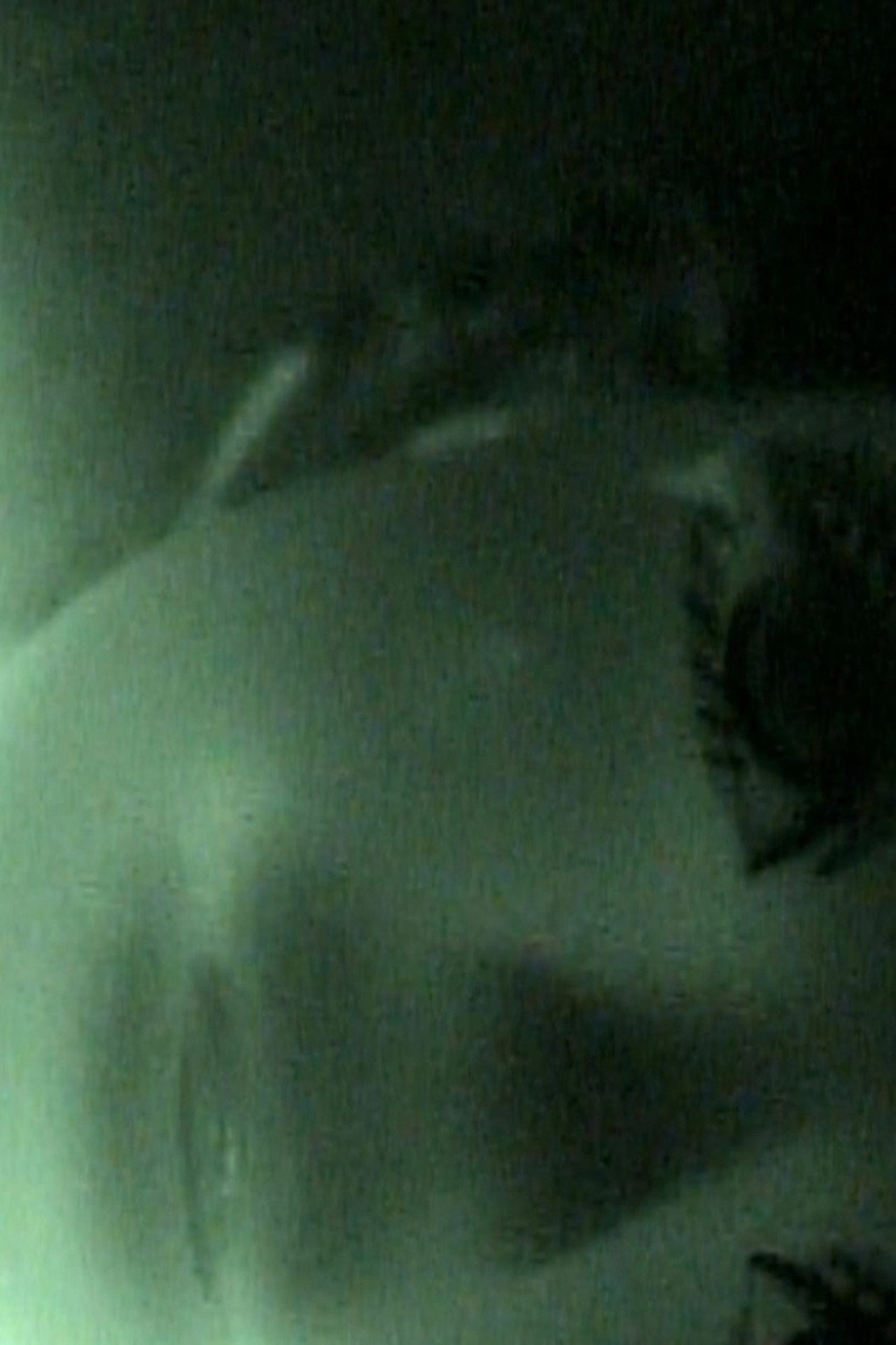 Ensaio sobre a Sutura filmaffisch