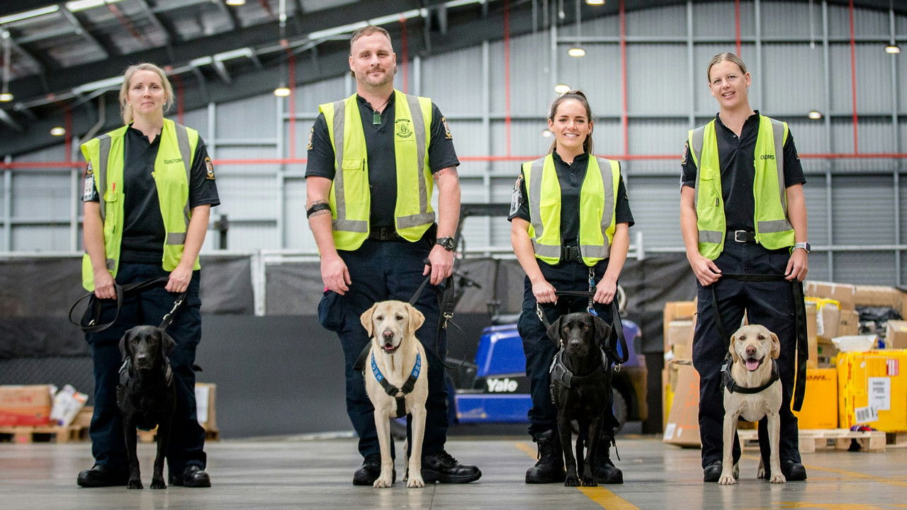 Dog Squad — Épisode 1