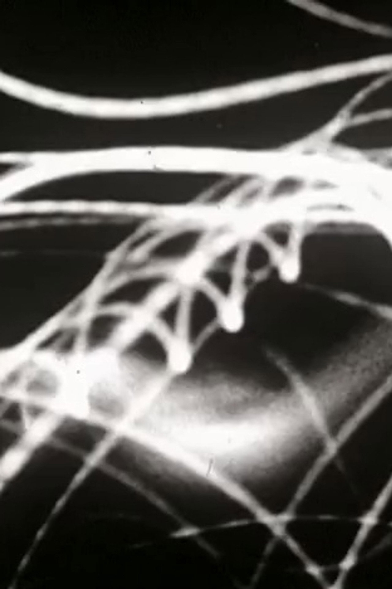 Carlton Dekker Backdrop