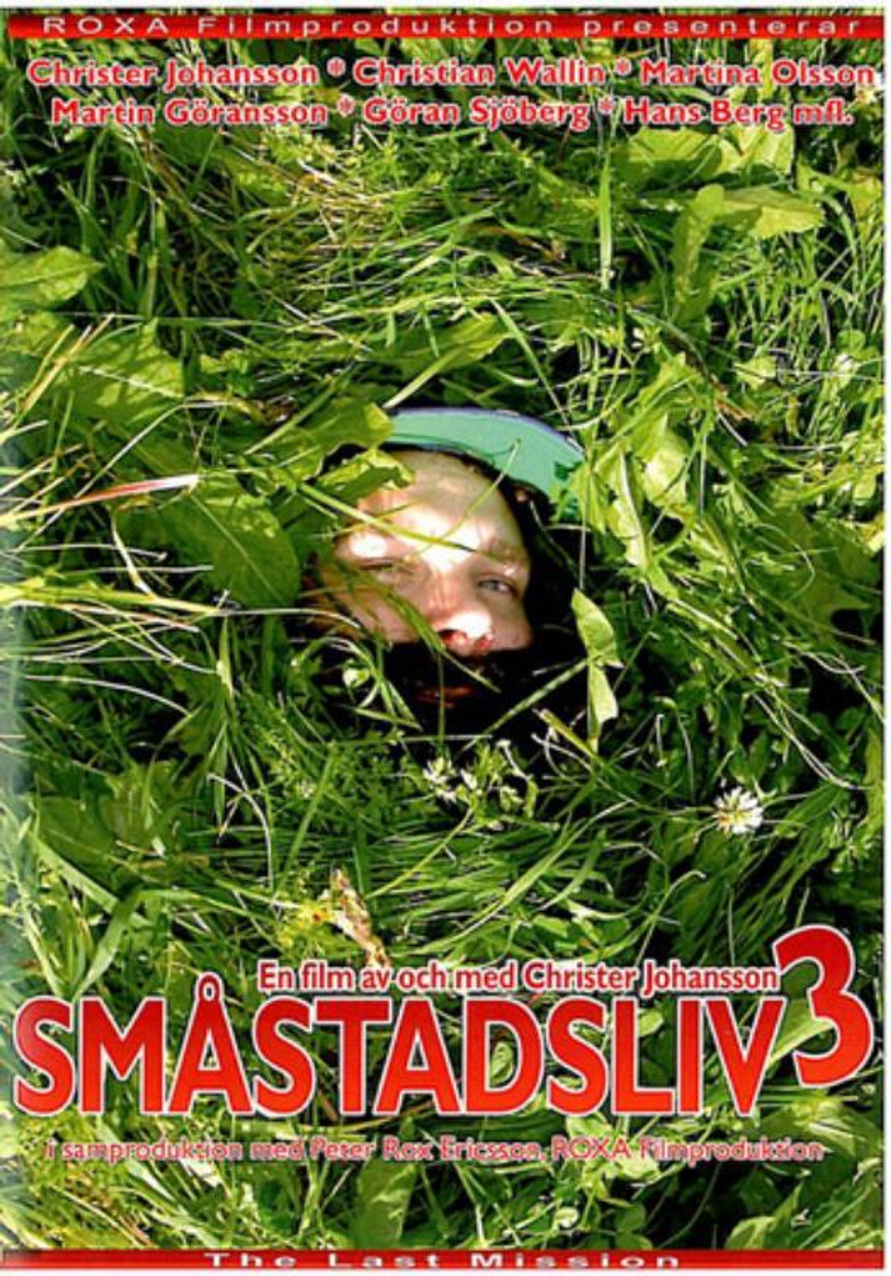 Småstadsliv 3 Backdrop