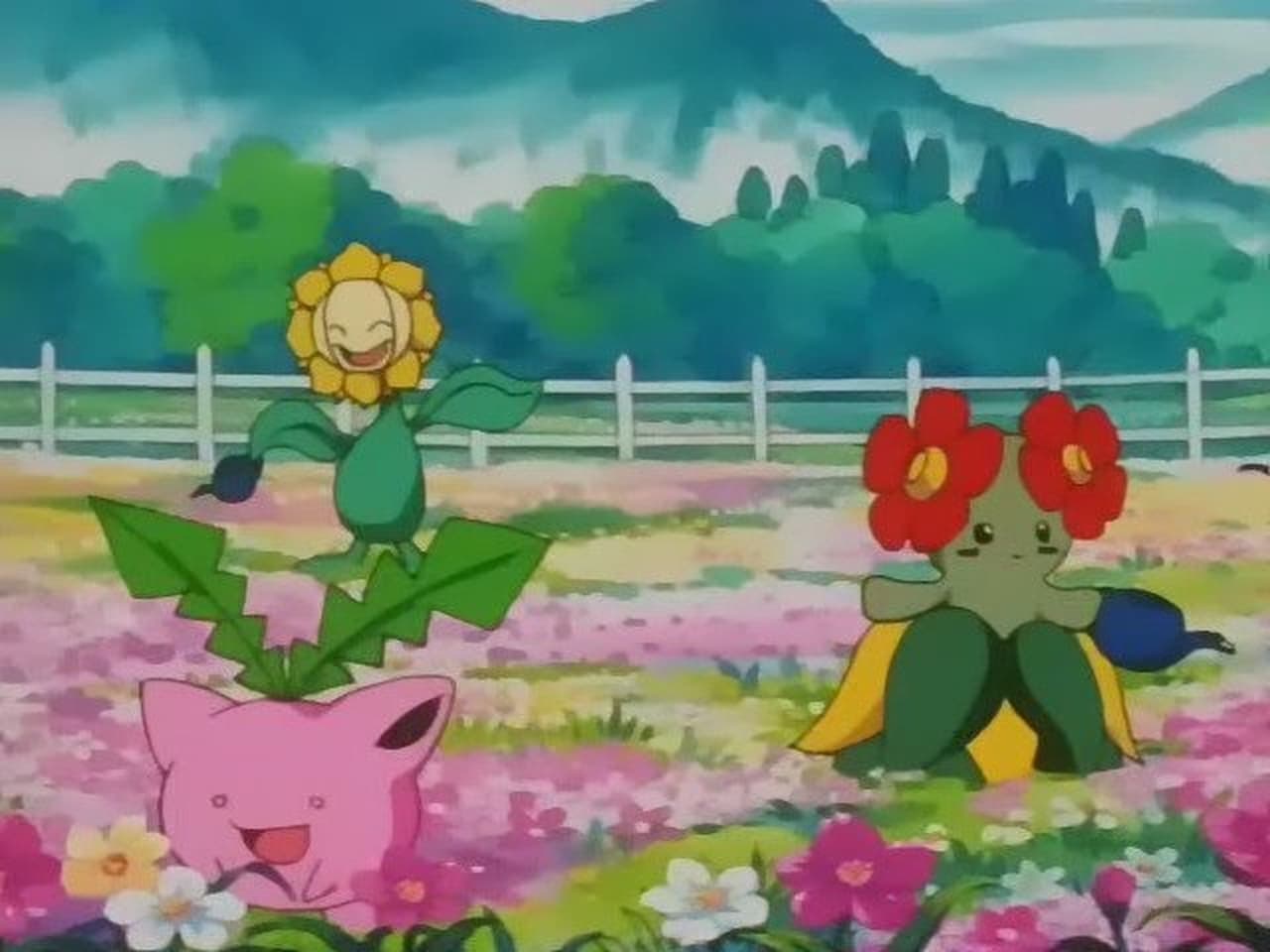 Pokémon - Season 4 Episode 21 : The Grass Route