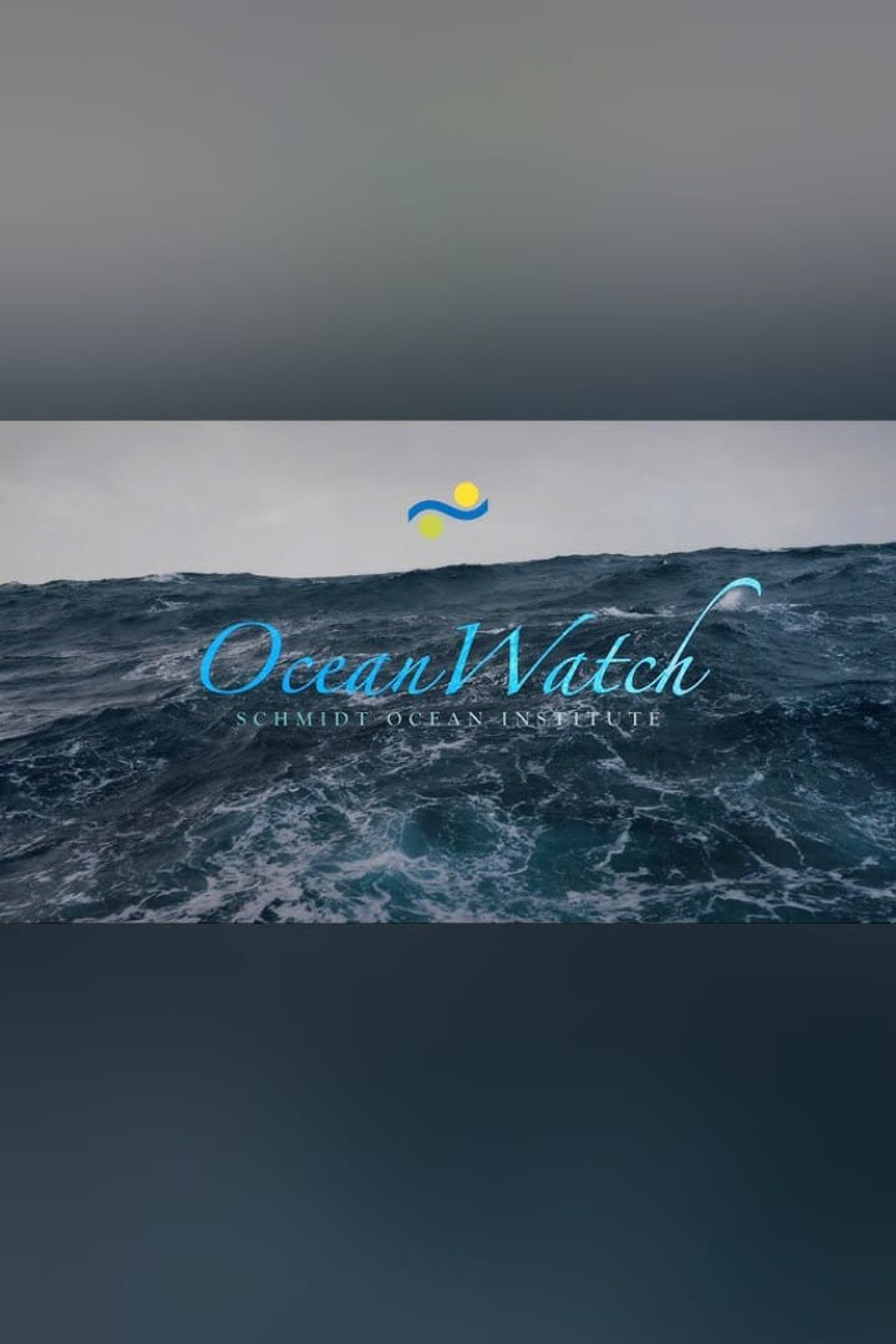 Ocean Watch Backdrop