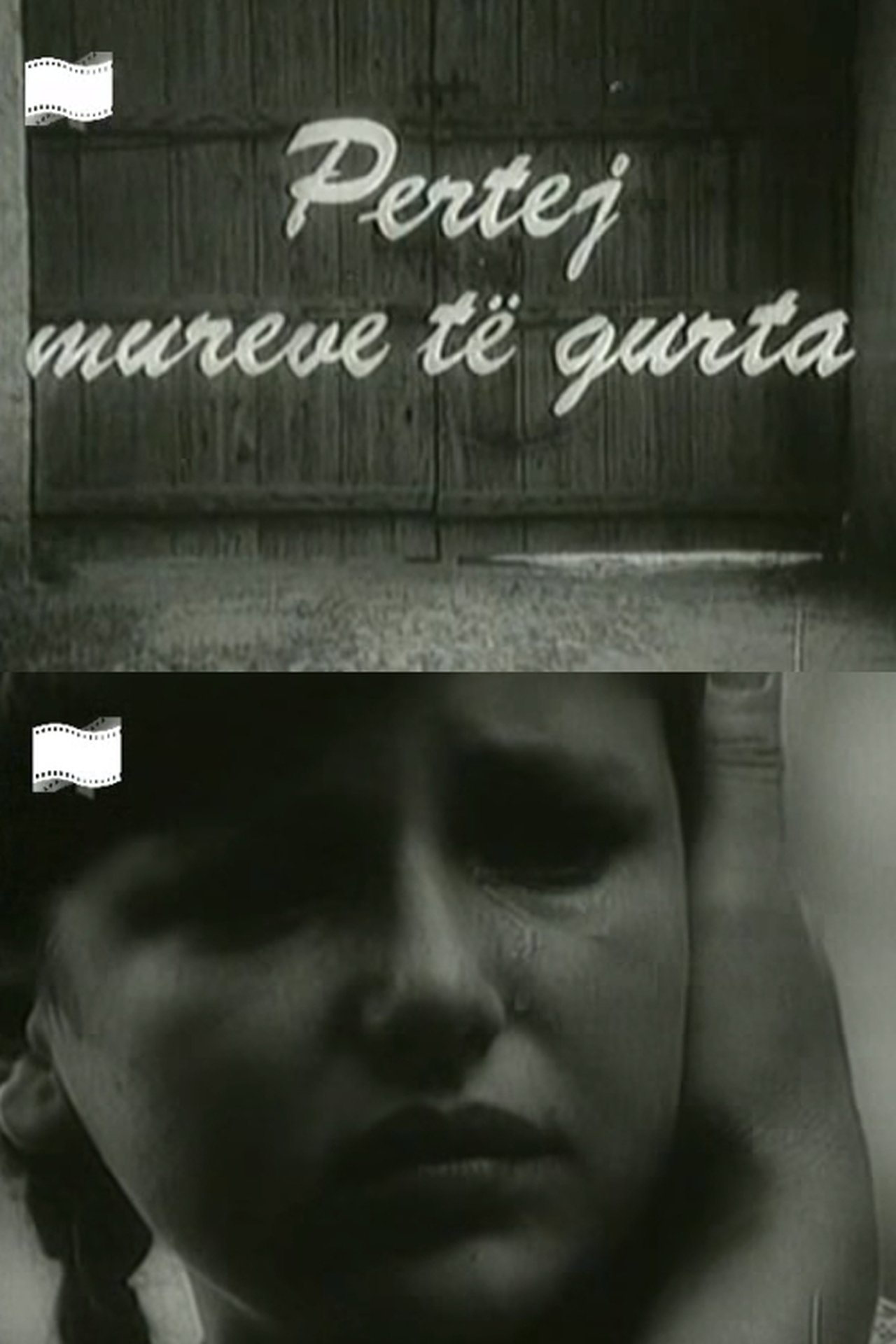 Përtej mureve të gurta Përtej mureve të gurta