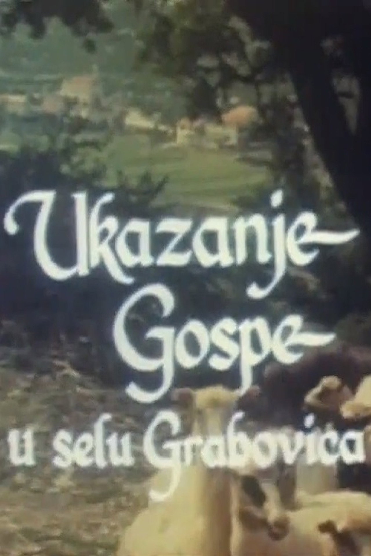 Sighting of the Holy Mother in the Village of Grabovica