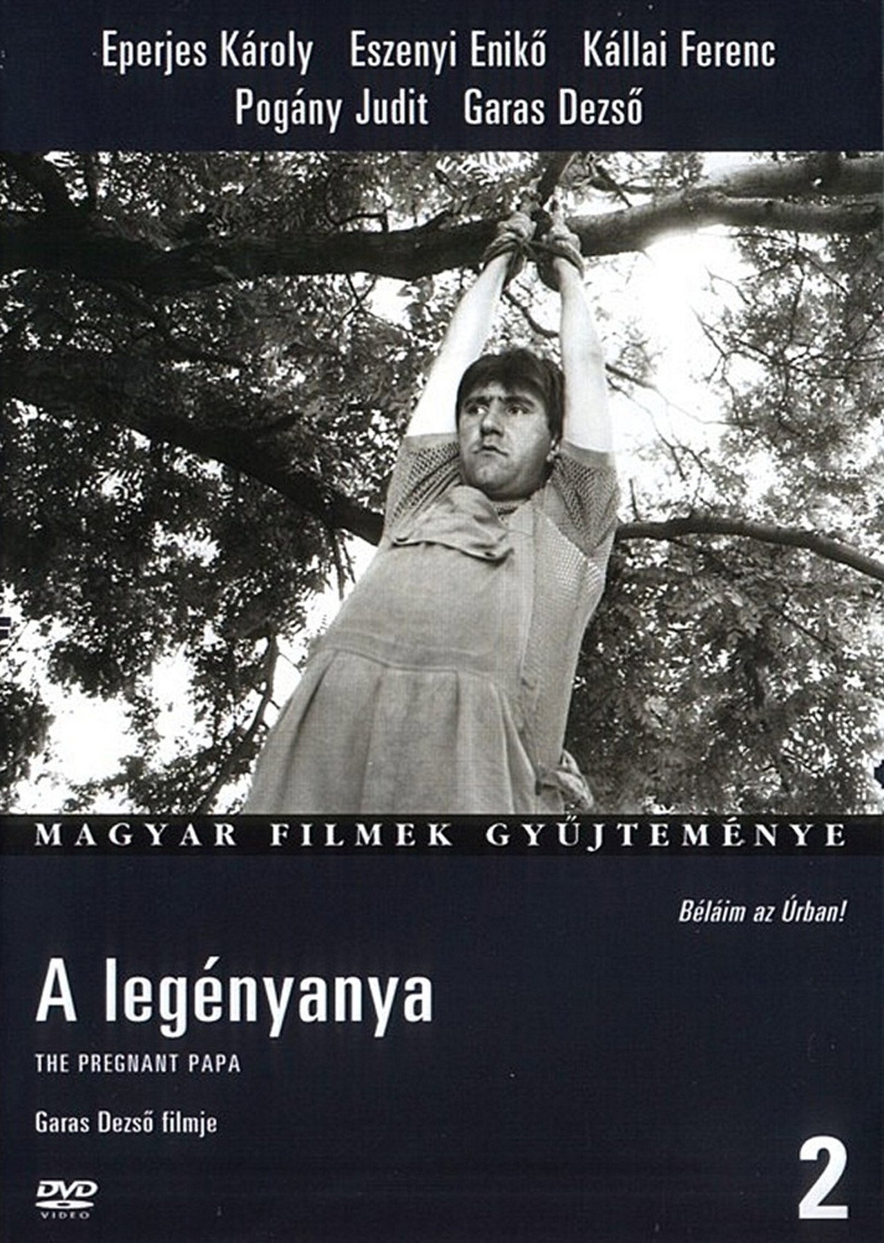 A legényanya – plakát 6