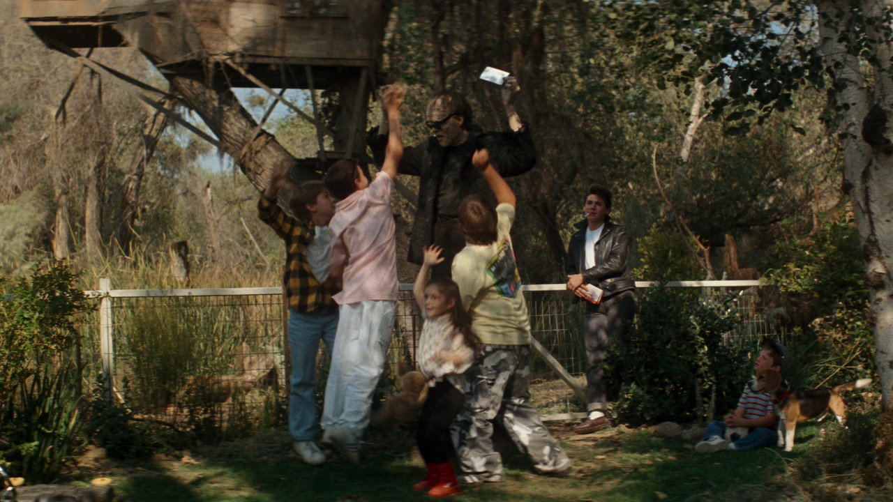 scenes 41