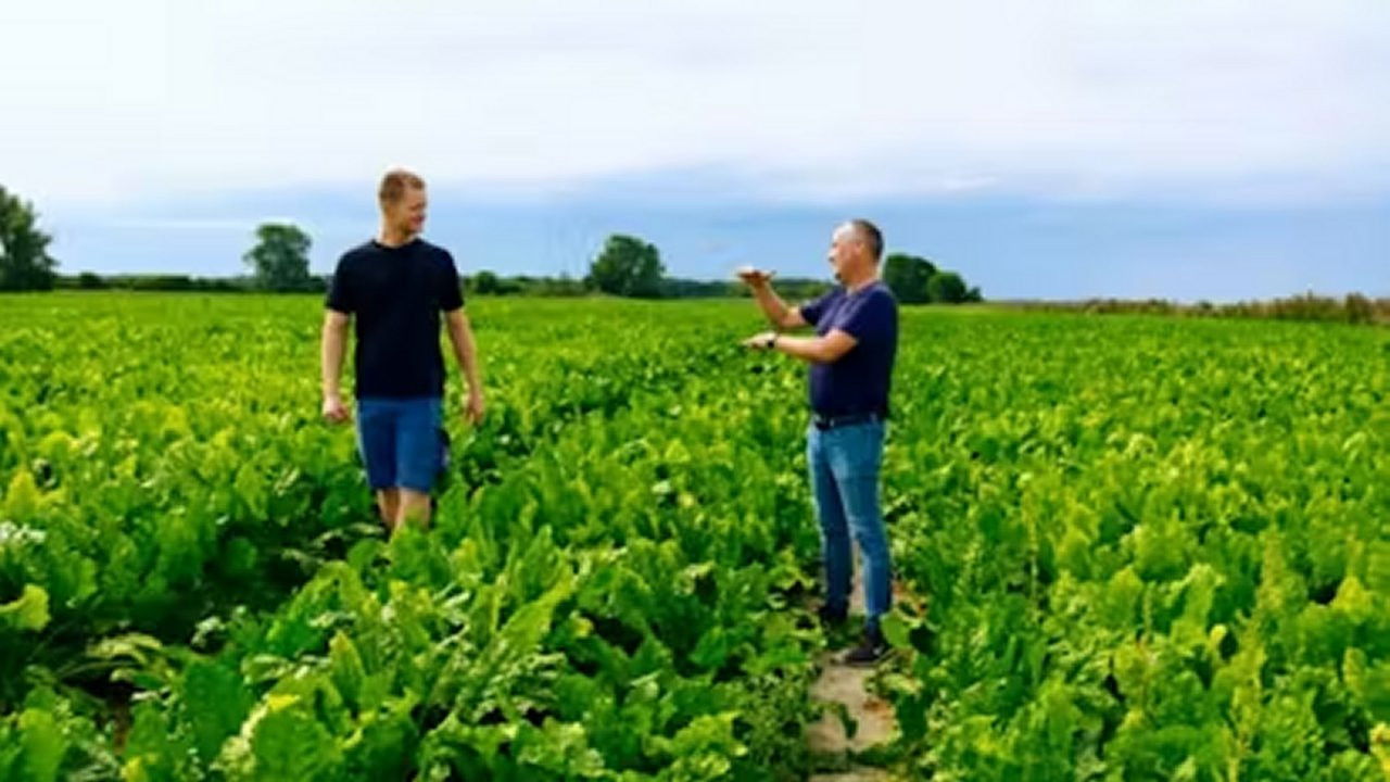 Ingemann, Fyn & Lolland-Falster — Épisode 5