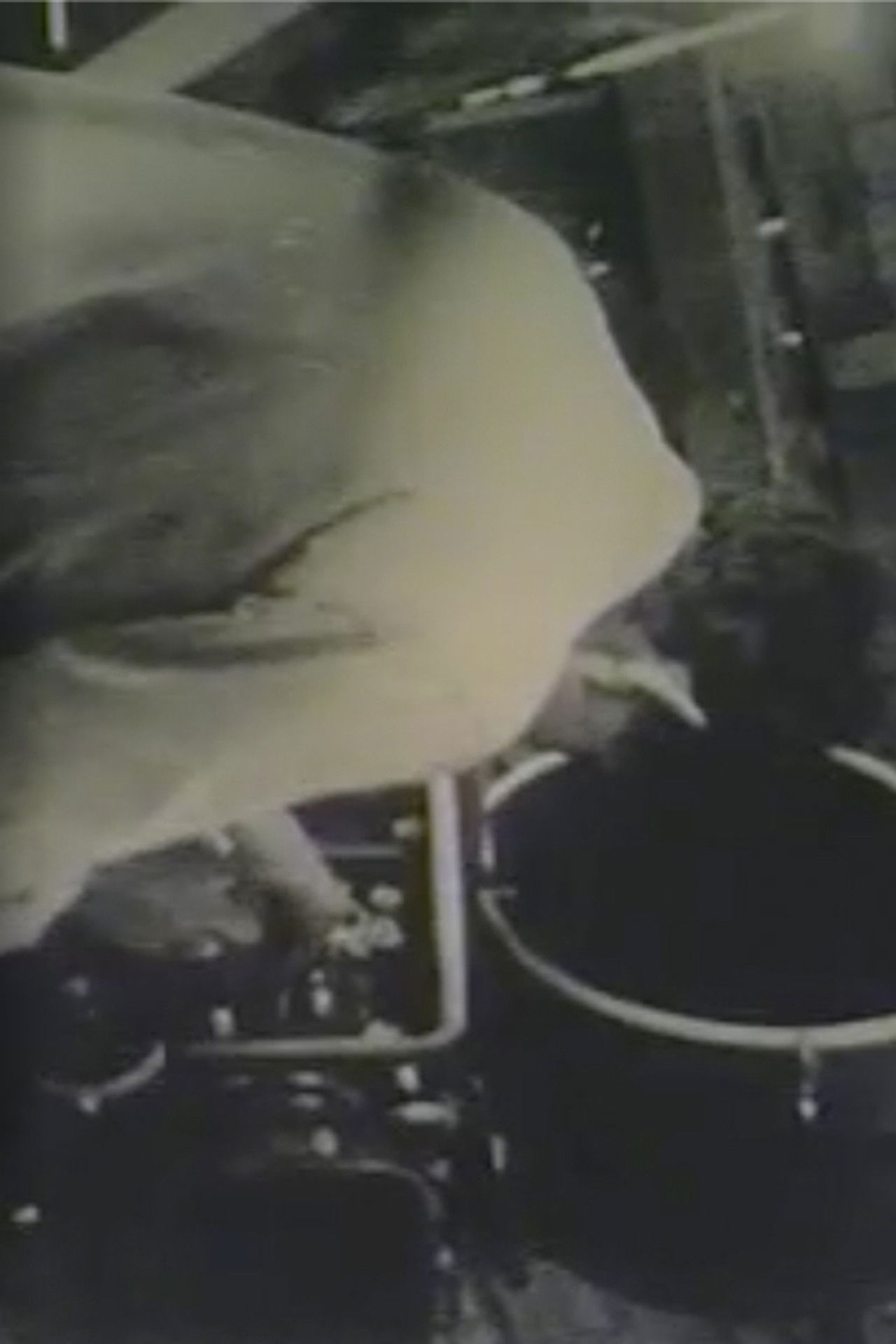 Robert Frank Films Backdrop