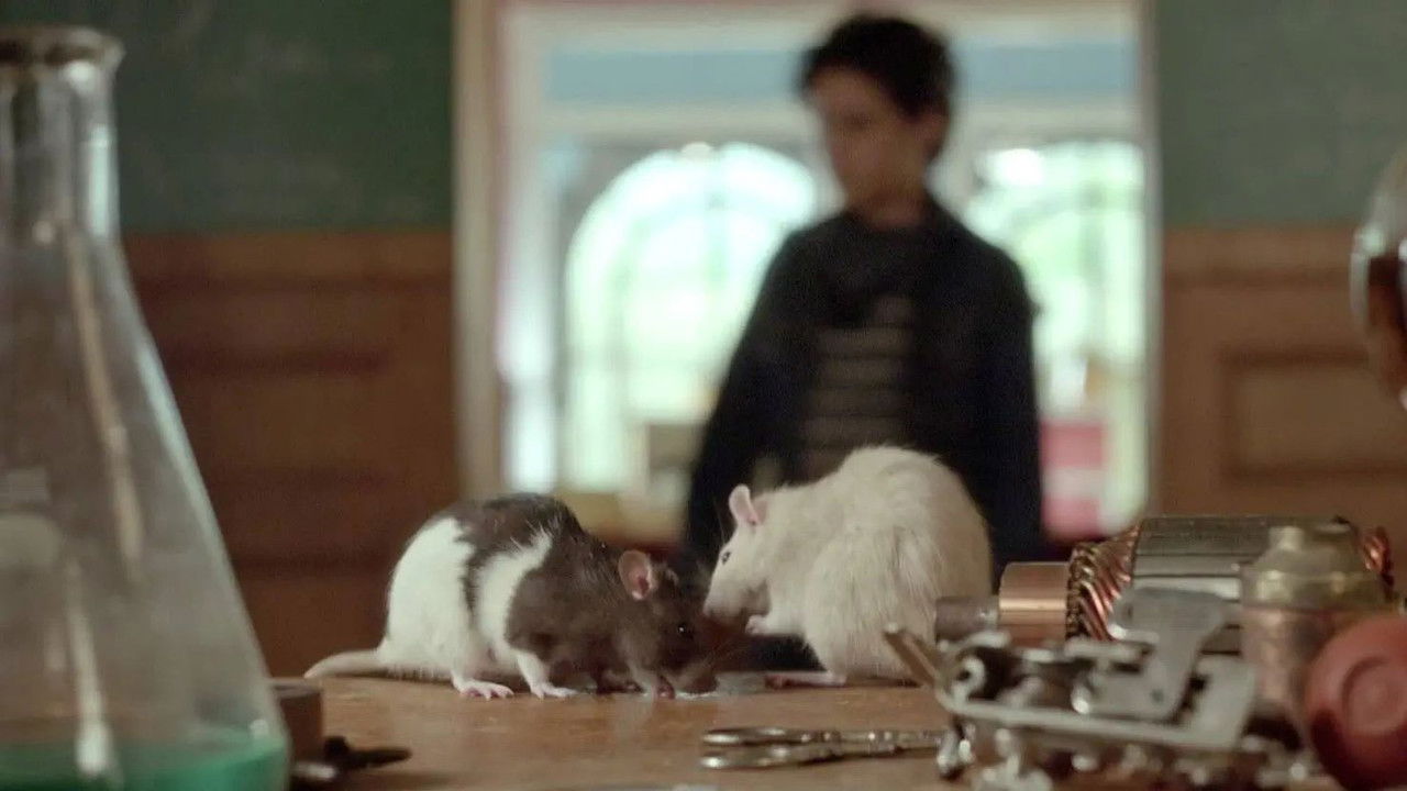 Valentins — Épisode 17