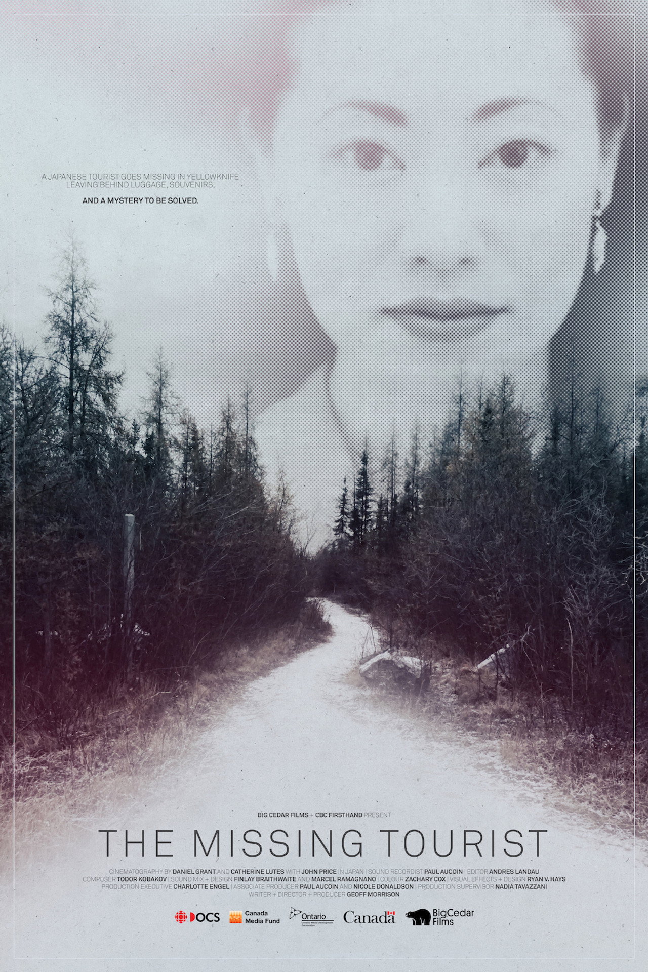 The Missing Tourist filmaffisch