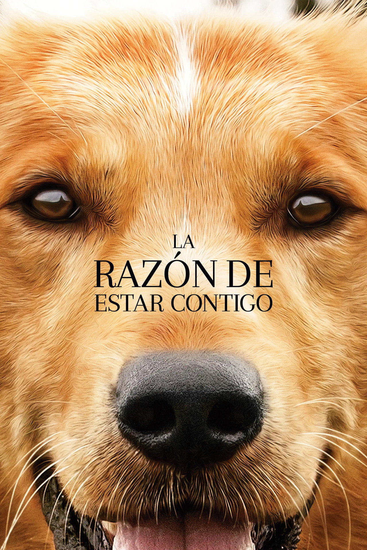 La razón de estar contigo