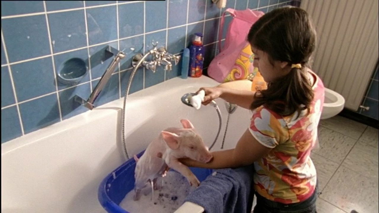 Rennschwein Rudi Rüssel — Épisode 6