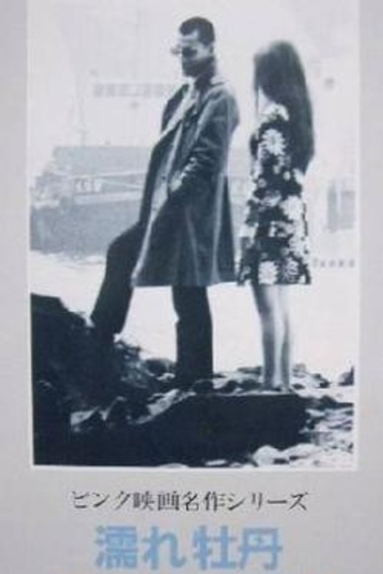 濡れ牡丹 五悪人暴行篇 filmaffisch