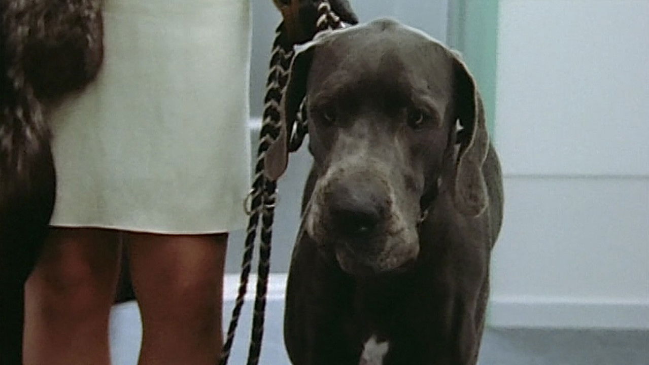 Nikola — Épisode 4