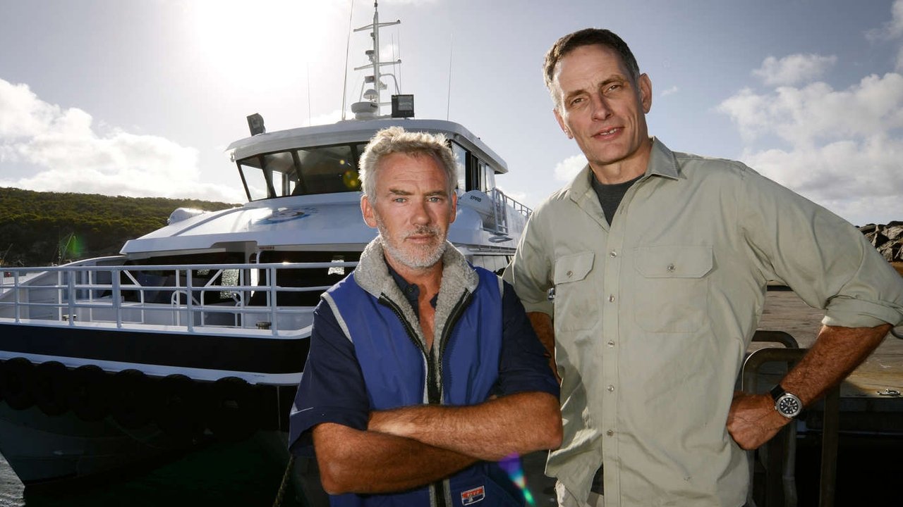 The Search for the Ocean's Super Predator