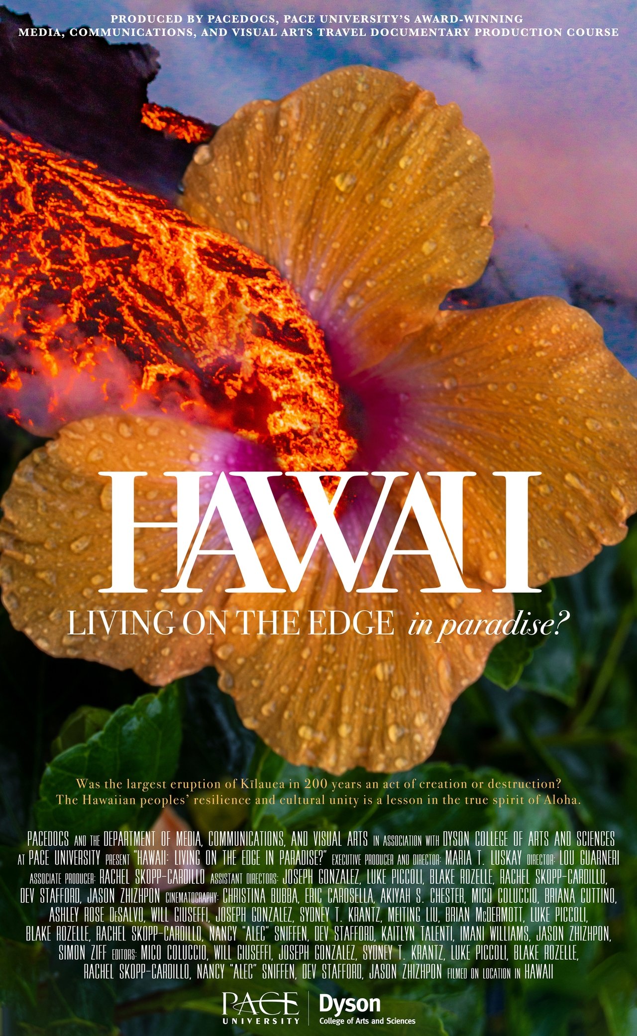 Hawaii: Living on the Edge in Paradise?