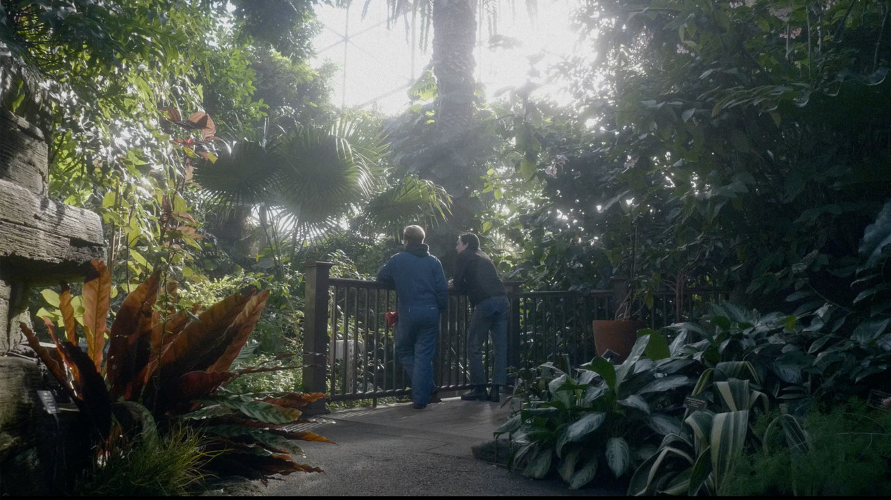 The Foreground backdrop