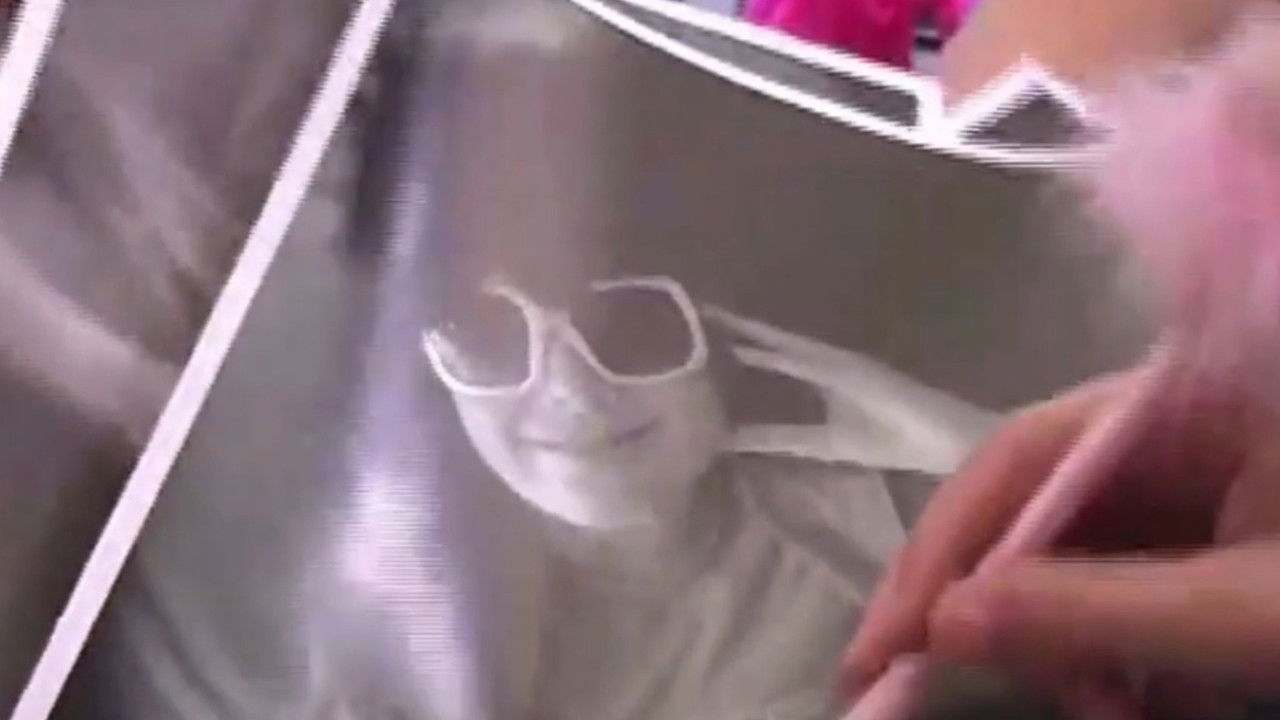 Woman with a Perfect Haircut