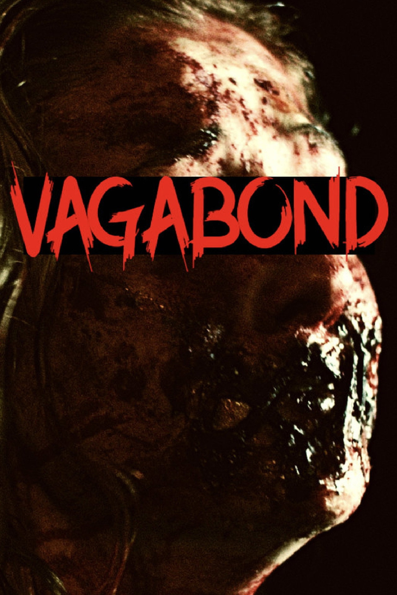 Vagabond Backdrop