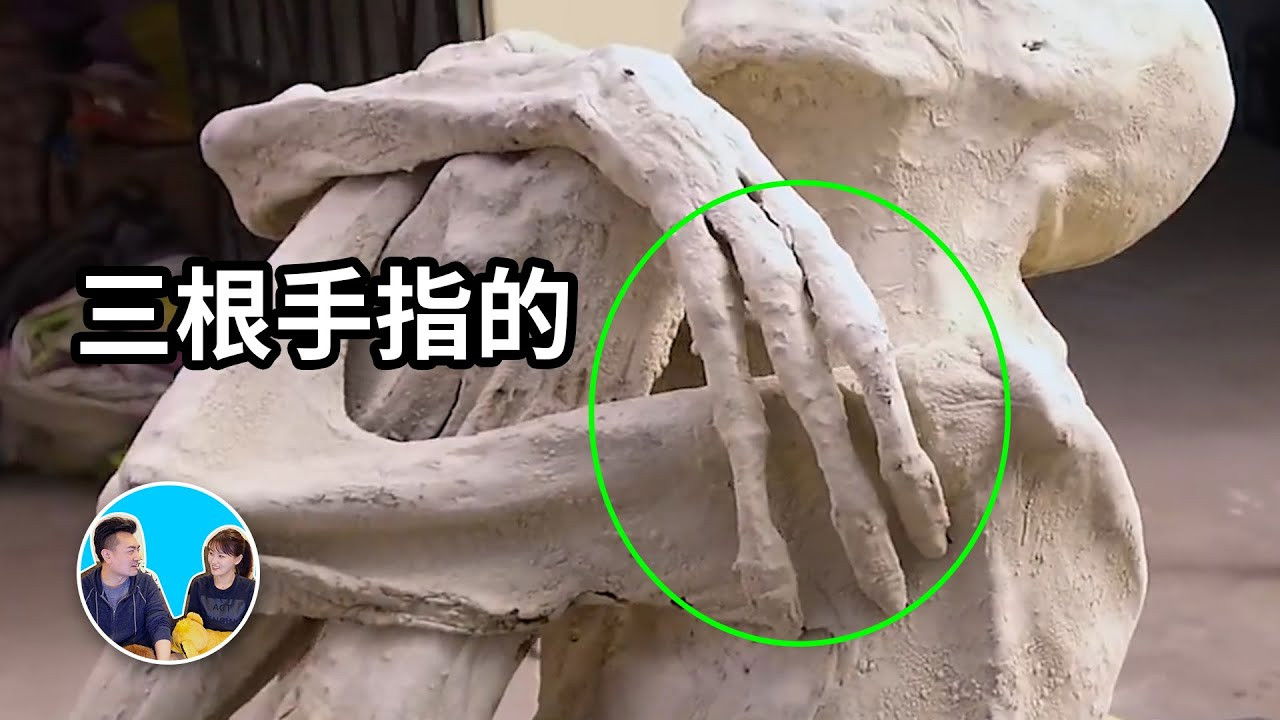 老高与小茉 — Épisode 207