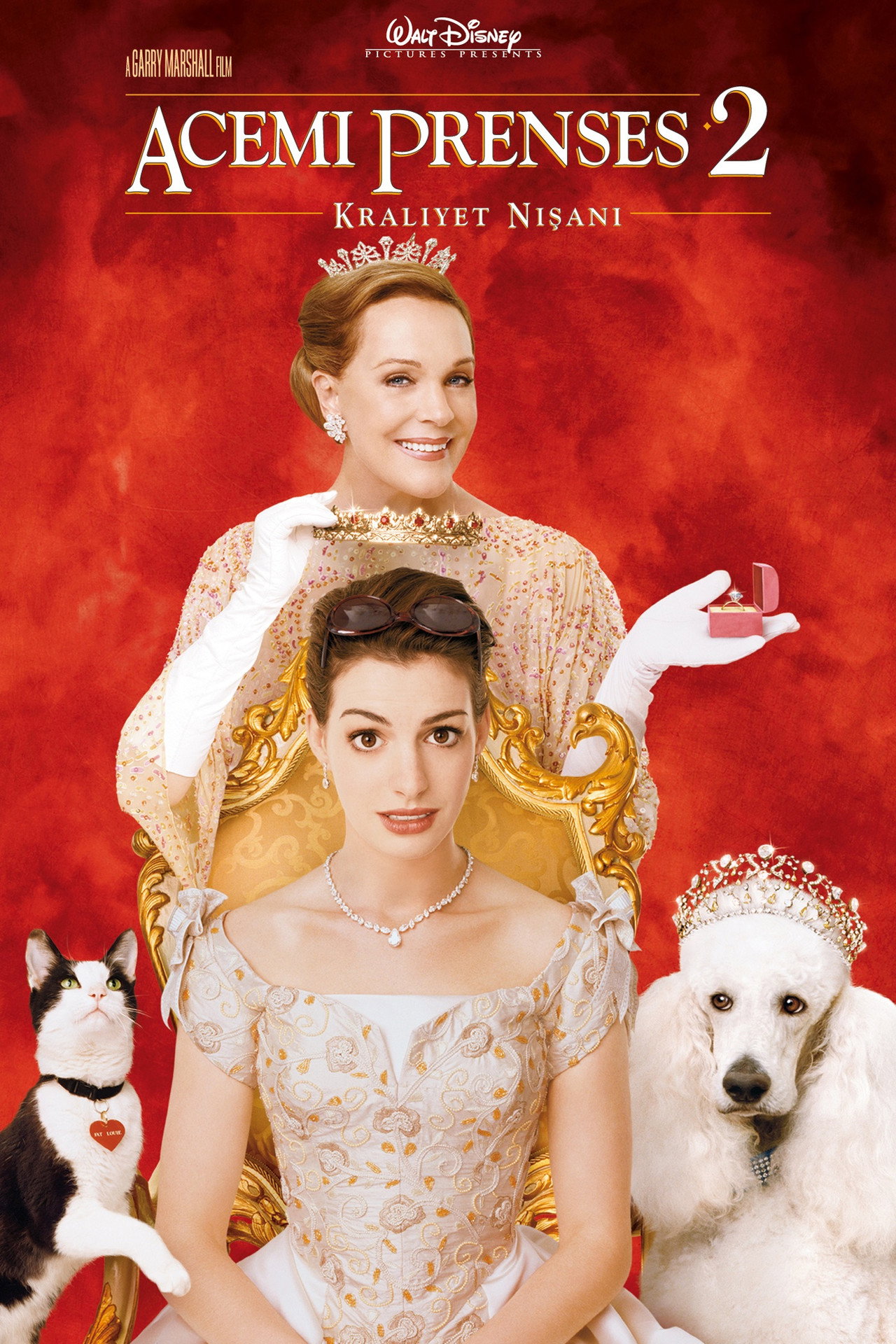 Acemi Prenses 2: Kraliyet Nişanı Poster
