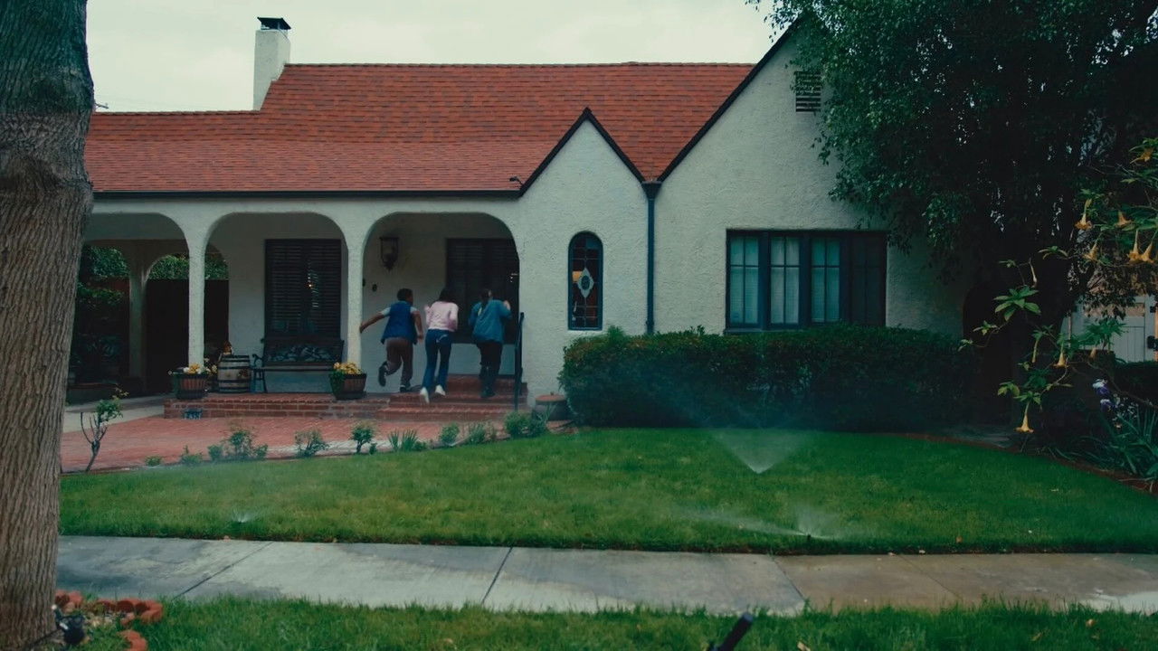 Party Animal backdrop