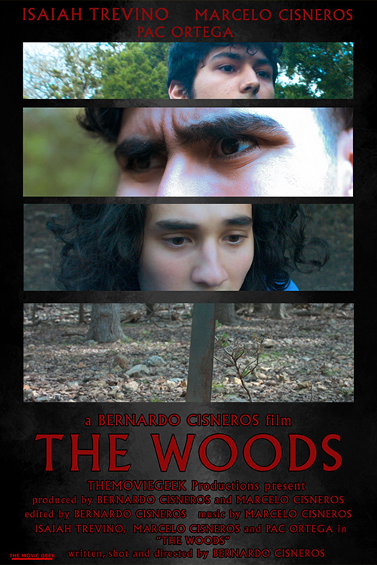 The Woods filmaffisch