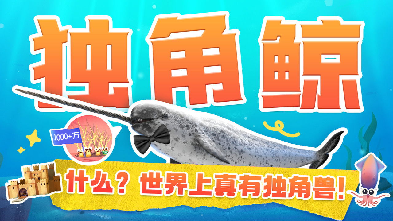 斑马百科探索 — Épisode 49