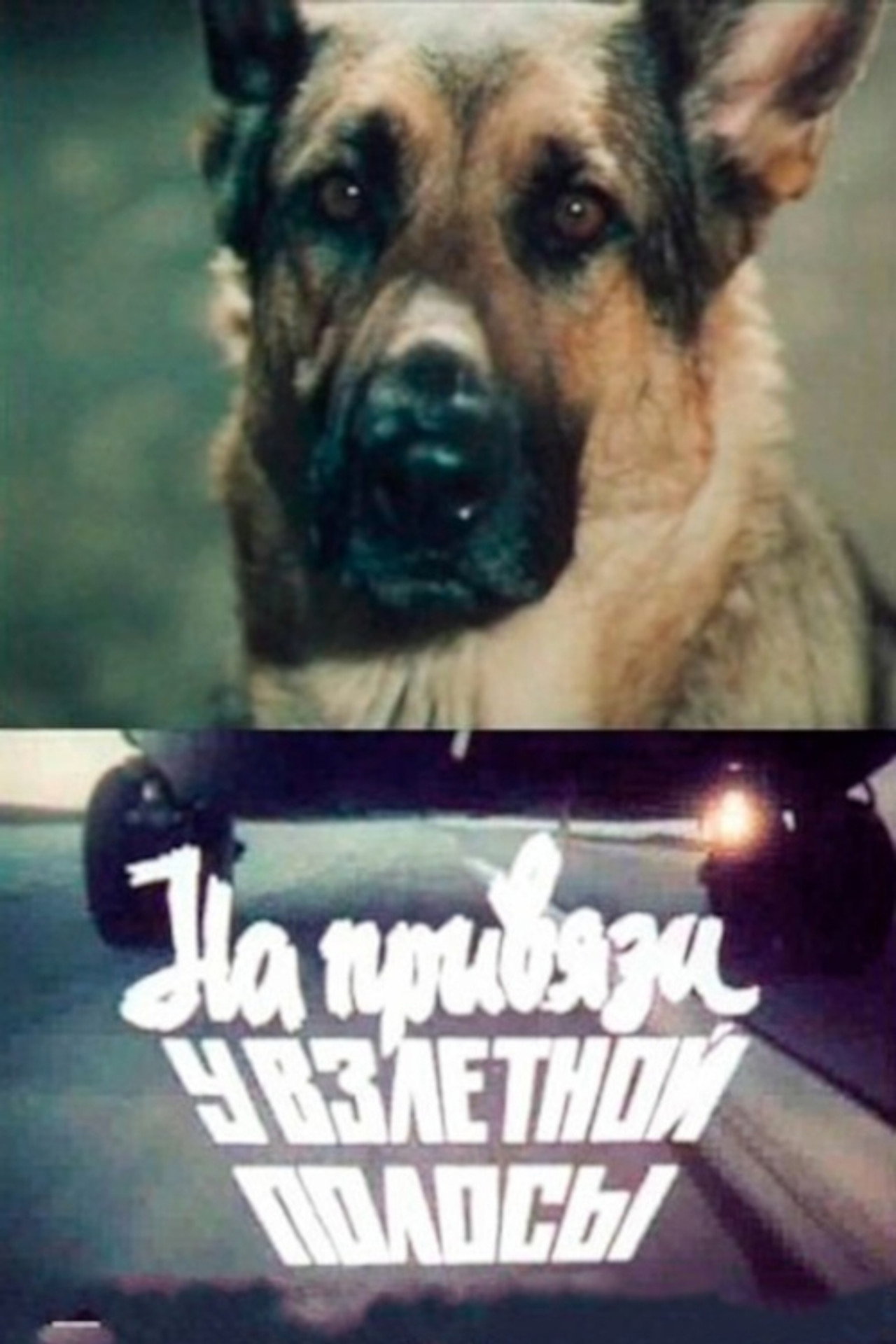 На привязи у взлетной полосы filmaffisch