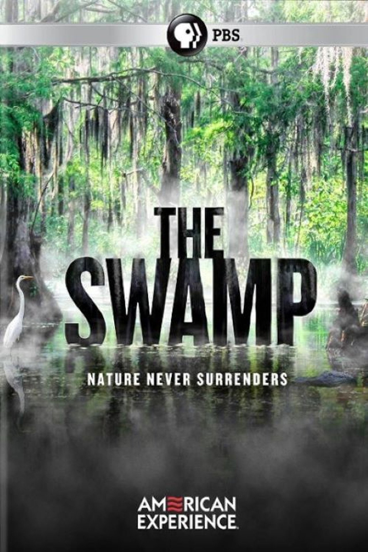 The Swamp filmaffisch