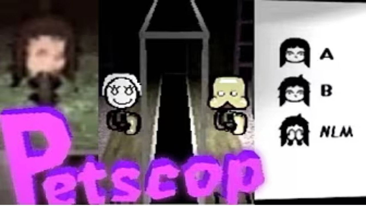 Findings — Le jeu vidéo hanté qui refait surface - Petscop - findings N°4