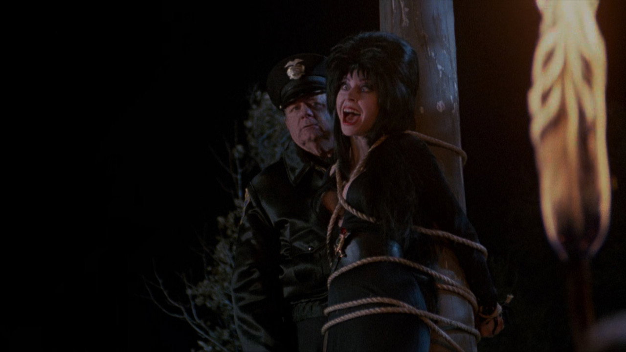 Elvira: Mistress of the Dark background 66
