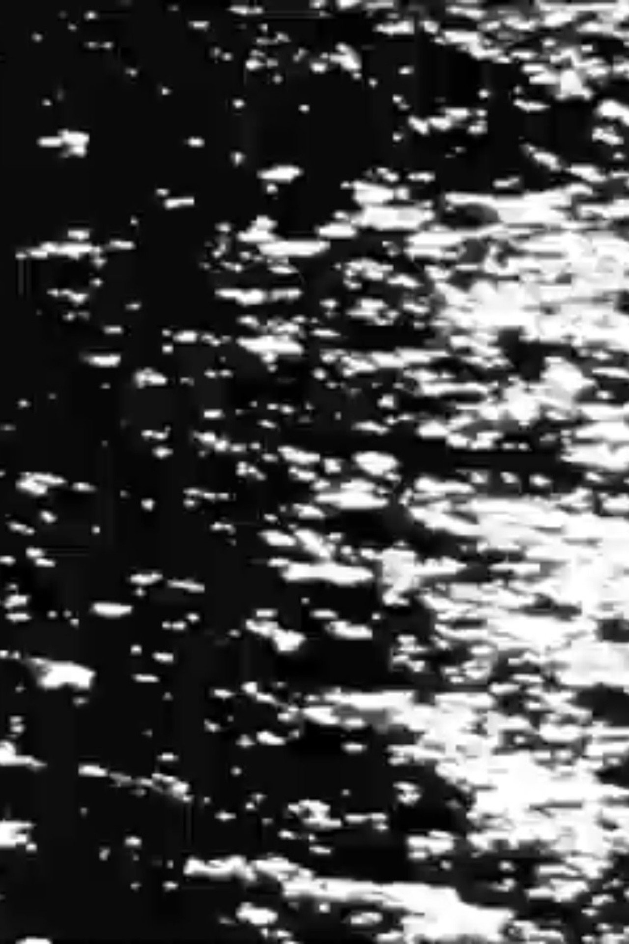 Waiting to Disappear filmaffisch