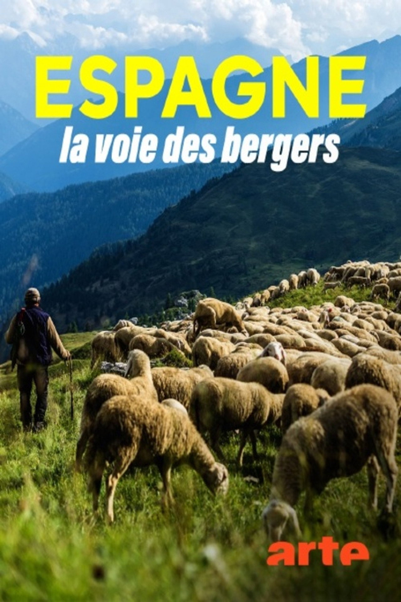Espagne, la voie des bergers filmaffisch