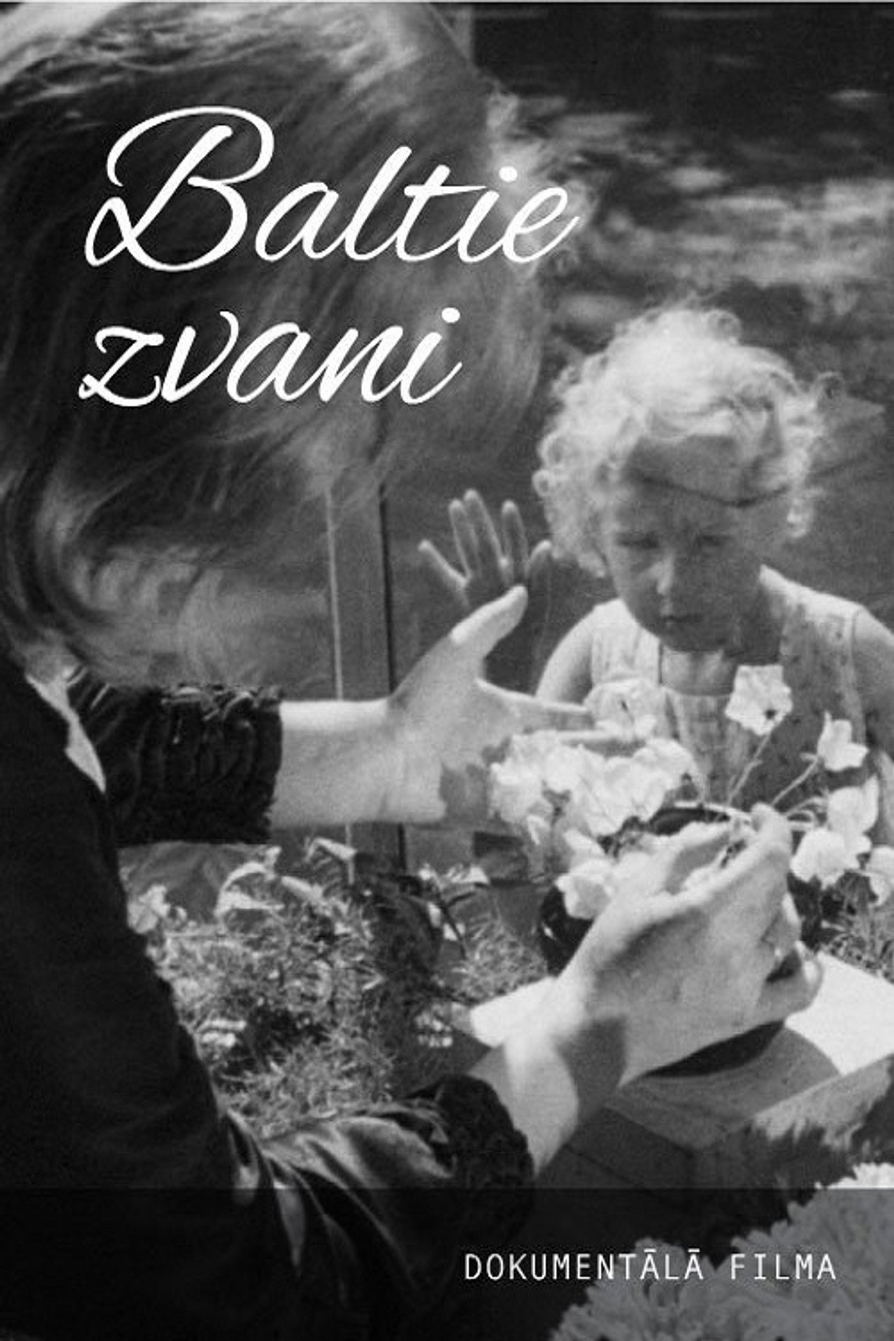 Baltie zvani filmaffisch
