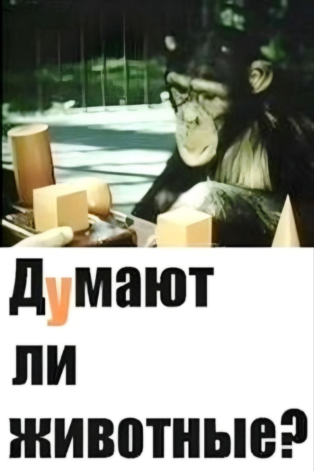 مشاهدة فيلم Do Animals Think? مترجم بدون اعلانات - بوستر