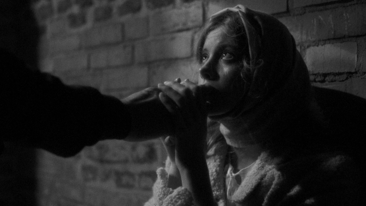 Cast and Crew of Raven