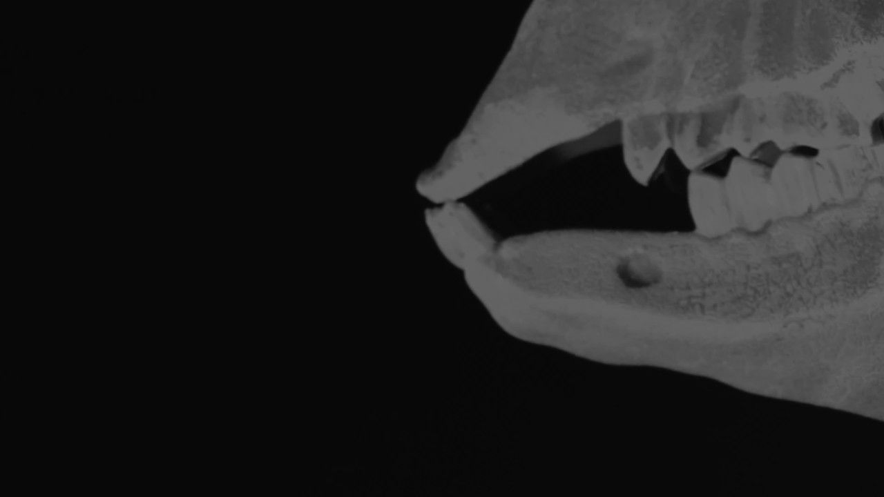 Ghost Buddies: The Gathering backdrop